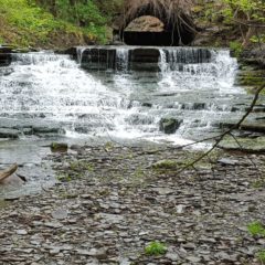 Genesee Earth Week set to celebrate 50th Anniversary of Earth Day