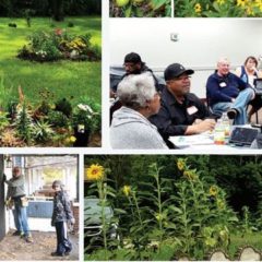 Genesee County Land Bank accepting applications for 2021 Clean & Green season