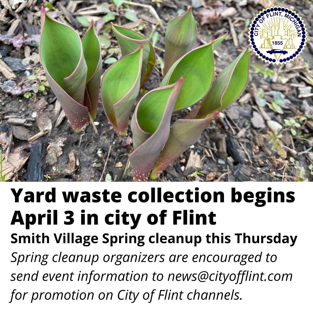 Yard waste collection begins in Flint April 3 East Village Magazine