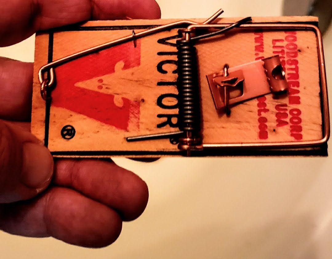 One Of The World's Greatest Mouse Traps Ever Invented. Original Walk-The-Plank.  Mousetrap Monday. 