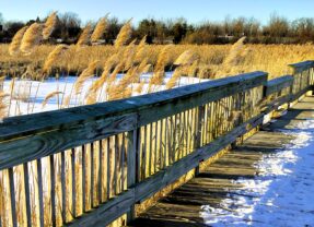 Parks & Rec in Flint and Beyond: Kelly Lake Park